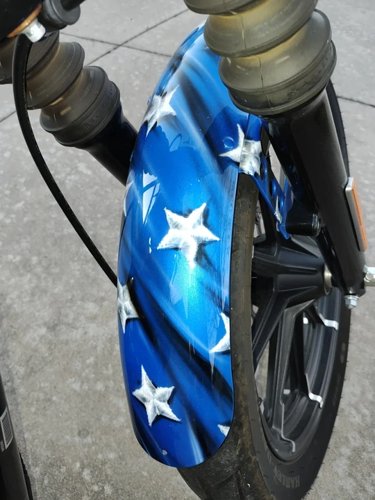 2020 Harley-Davidson Sportster Rubber Mount - Image 16 of 21