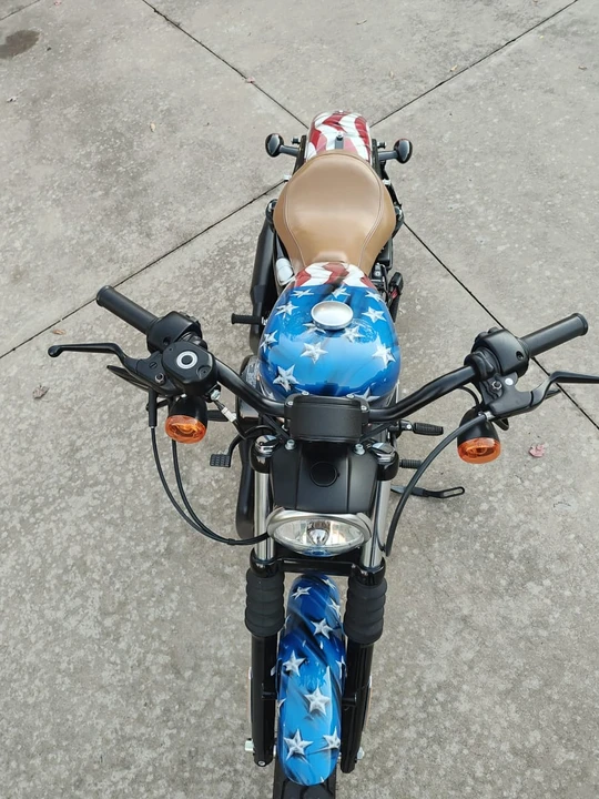 2020 Harley-Davidson Sportster Rubber Mount - Image 8 of 21