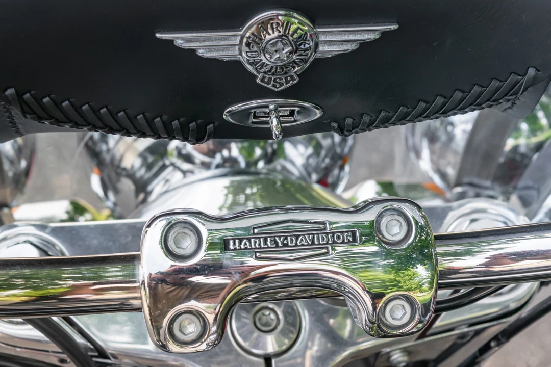 2020 Harley-Davidson Softail - Image 29 of 31