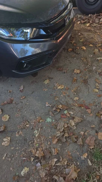 2020 Honda Civic 10th Gen - Image 5 of 5