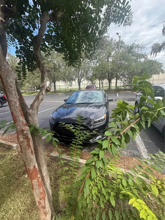 2020 Hyundai Veloster - Image 7 of 15