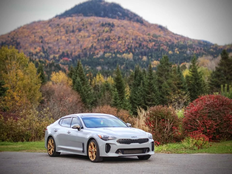 2020 Kia Stinger - Image 2 of 10