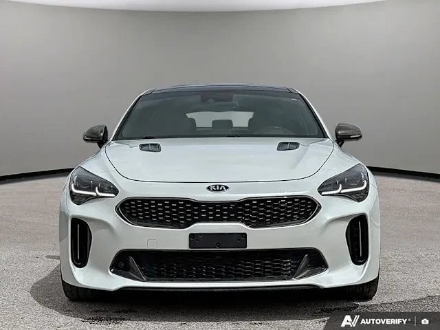 2020 Kia Stinger GT - Image 4 of 16