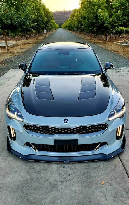2020 Kia Stinger GT - Image 6 of 6