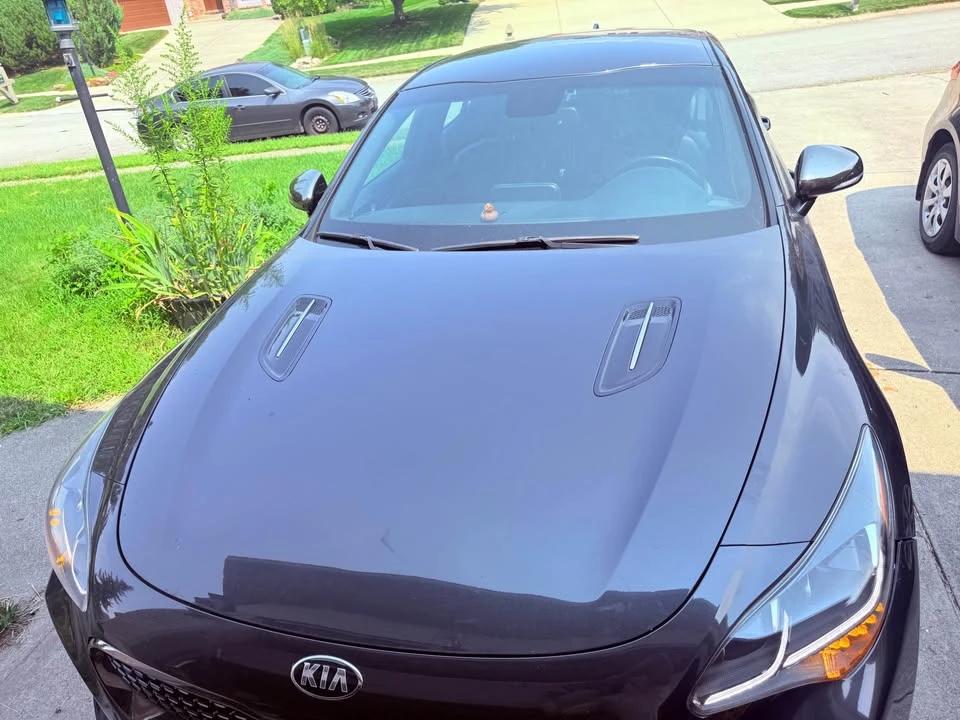 2020 Kia Stinger - Image 8 of 9