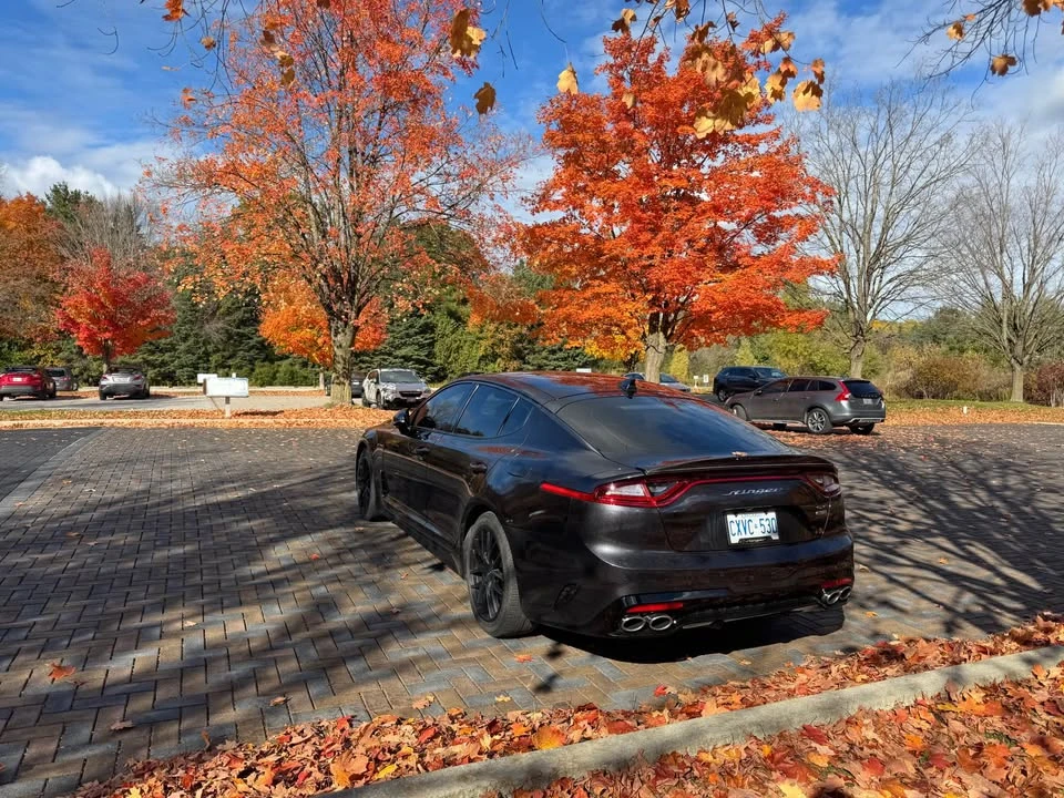 2020 Kia Stinger - Image 9 of 15