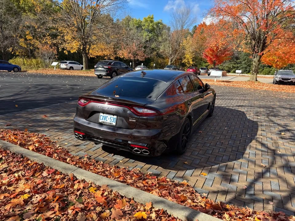 2020 Kia Stinger - Image 8 of 15