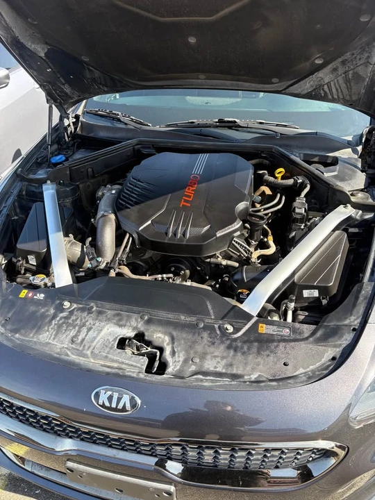 2020 Kia Stinger GT - Image 7 of 7