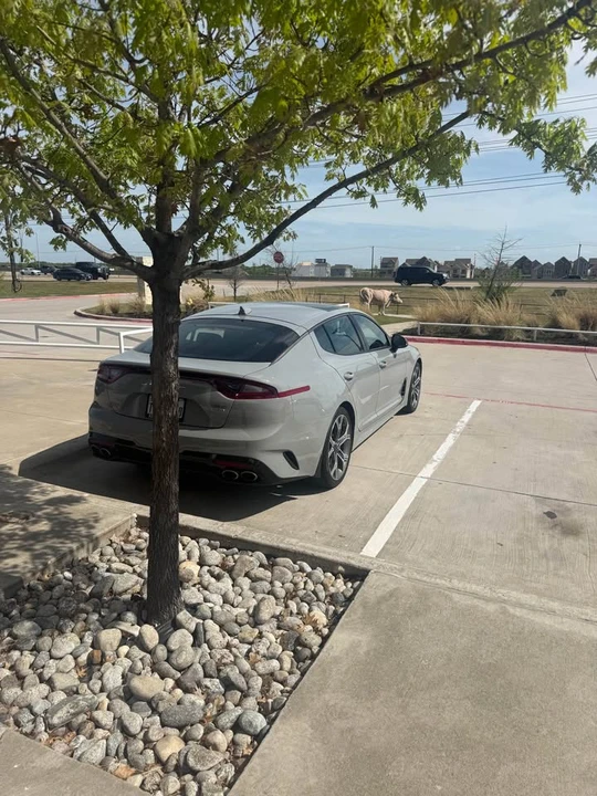 2020 Kia Stinger GT - Image 4 of 18
