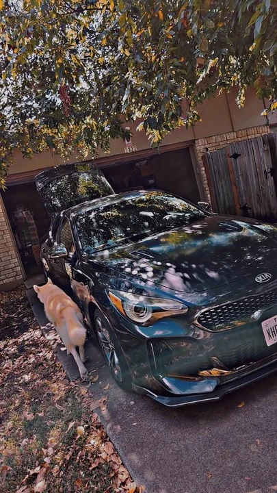 2020 Kia Stinger - Image 3 of 10