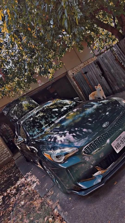 2020 Kia Stinger - Image 4 of 10