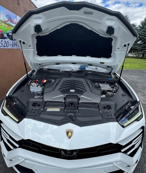 2020 Lamborghini Urus - Image 20 of 20