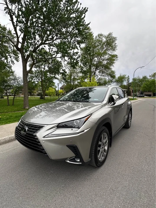 2020 Lexus NX 1st Gen - Image 4 of 13