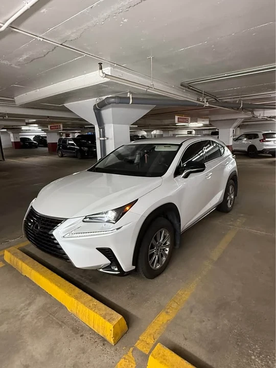 2020 Lexus NX 1st Gen - Image 4 of 6