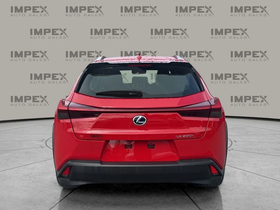 2020 Lexus - Image 4 of 12