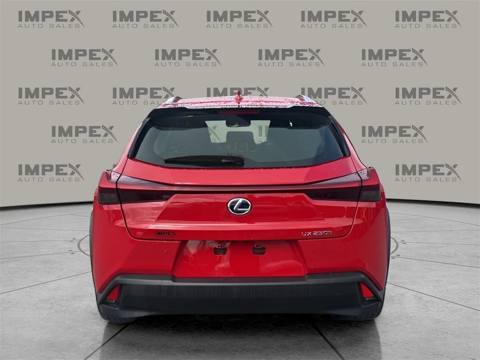 2020 Lexus - Image 4 of 12