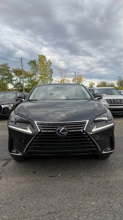 2020 Lexus NX 1st Gen - Image 2 of 14