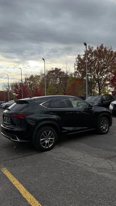 2020 Lexus NX 1st Gen - Image 6 of 14