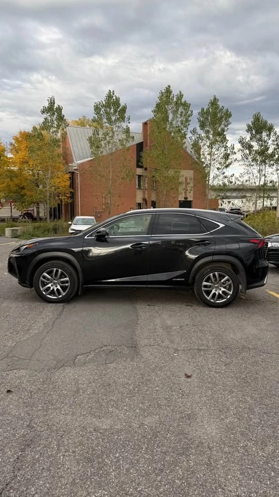 2020 Lexus NX 1st Gen - Image 4 of 14