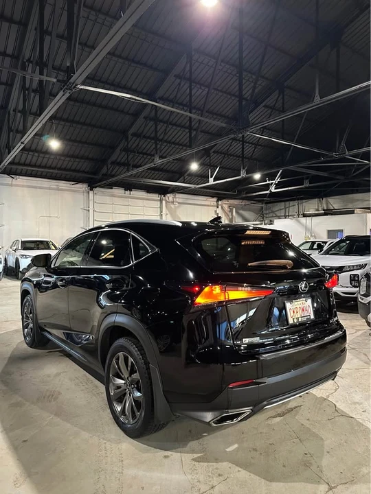 2020 Lexus NX 1st Gen - Image 4 of 11
