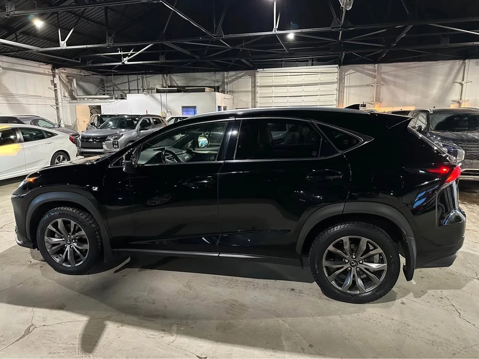 2020 Lexus NX 1st Gen - Image 5 of 11