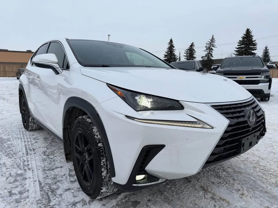 2020 Lexus NX 1st Gen - Image 6 of 11