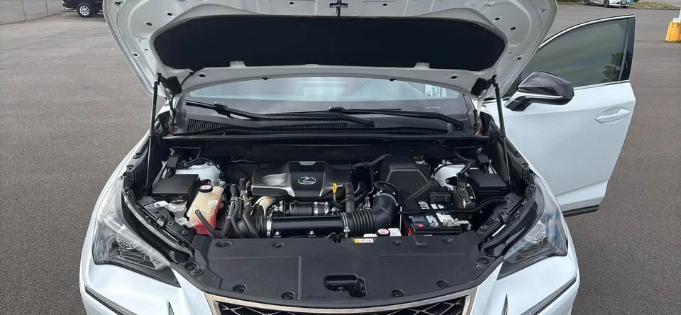 2020 Lexus NX 1st Gen - Image 9 of 12