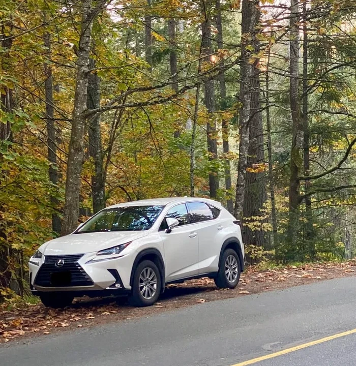 2020 Lexus NX 1st Gen - Image 3 of 9