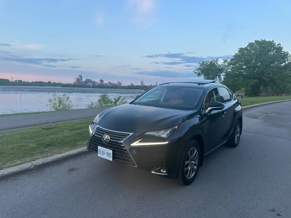 2020 Lexus NX 1st Gen - Image 4 of 6