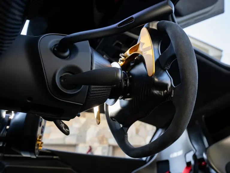 2020 McLaren Senna - Image 20 of 31