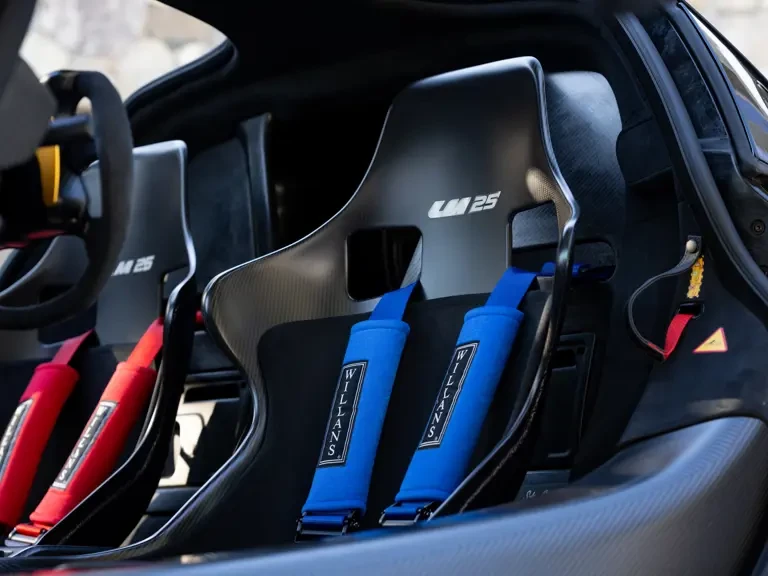 2020 McLaren Senna - Image 25 of 31