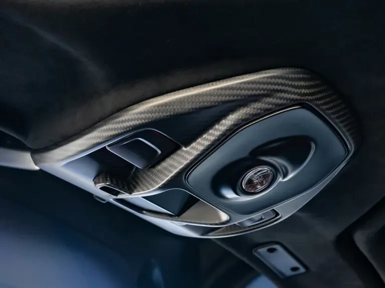 2020 McLaren Senna - Image 22 of 31