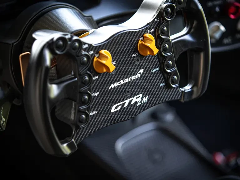 2020 McLaren Senna - Image 14 of 31