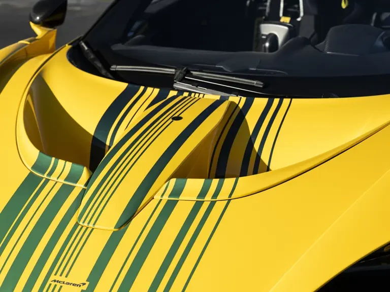 2020 McLaren Senna - Image 31 of 31