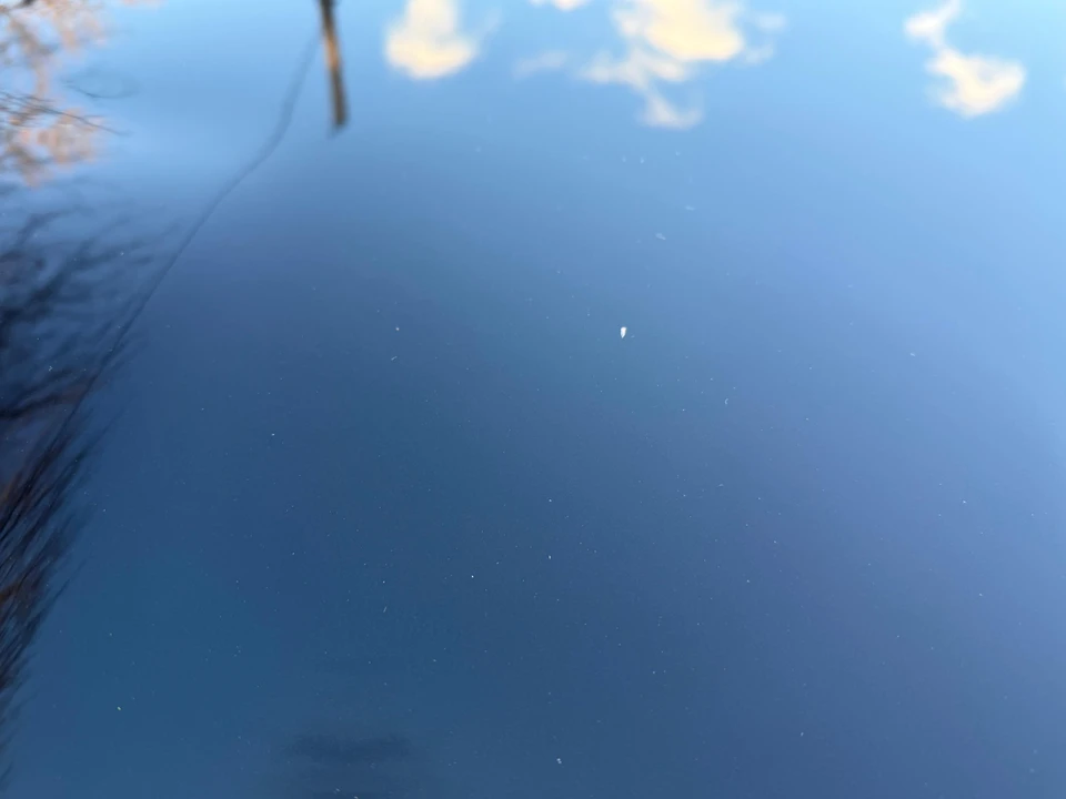 2020 Subaru Impreza WRX 4th Gen - Image 18 of 31