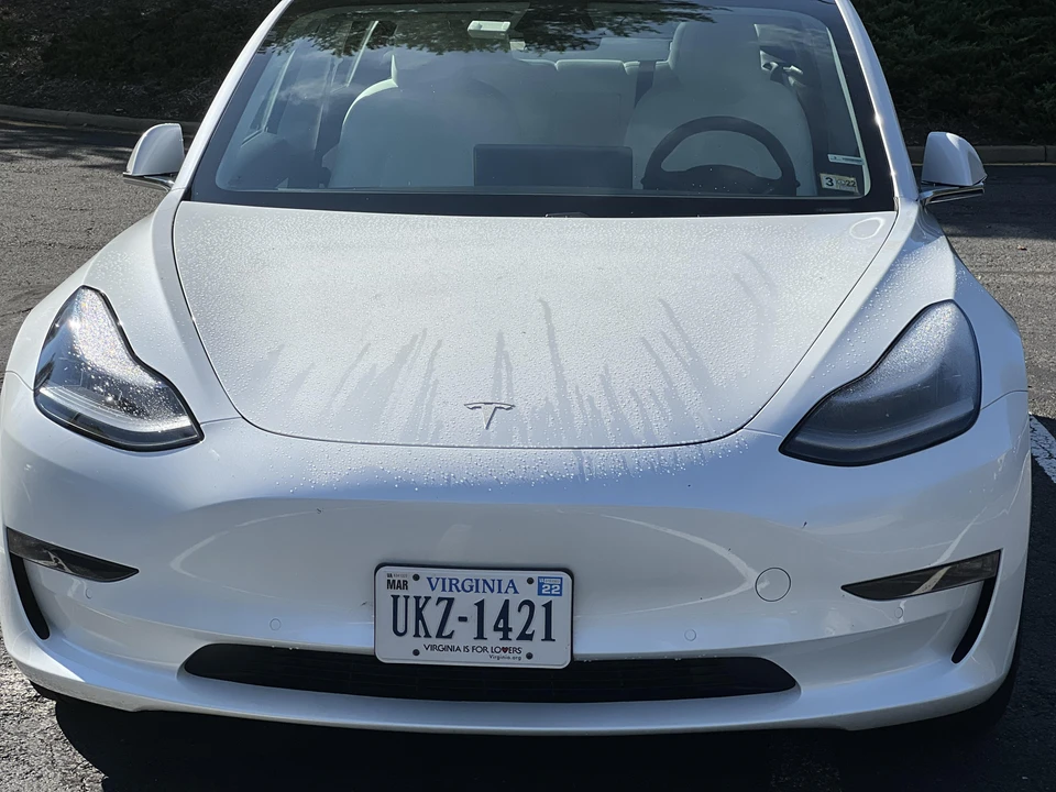 2020 Tesla Model 3 - Image 8 of 31