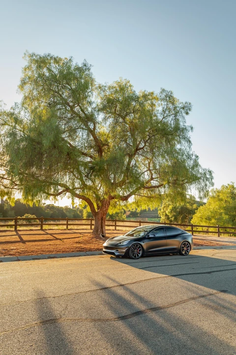 2020 Tesla Model 3 Performance - Image 12 of 31