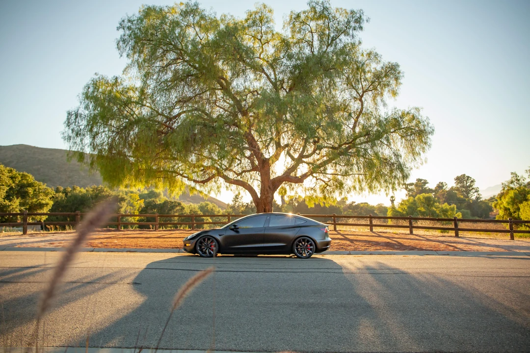 2020 Tesla Model 3 Performance - Image 21 of 31