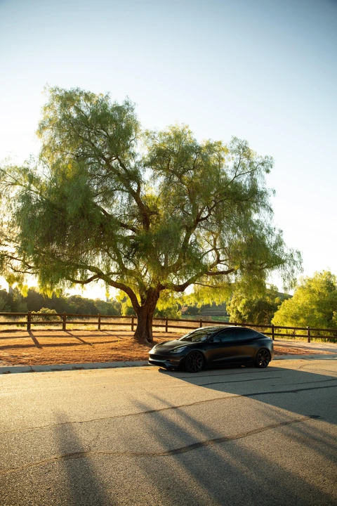 2020 Tesla Model 3 Performance - Image 17 of 31