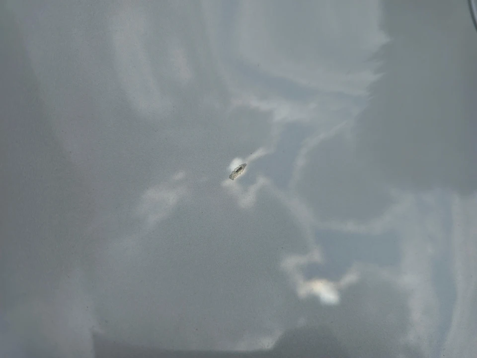 2020 Tesla Model 3 Performance - Image 16 of 31