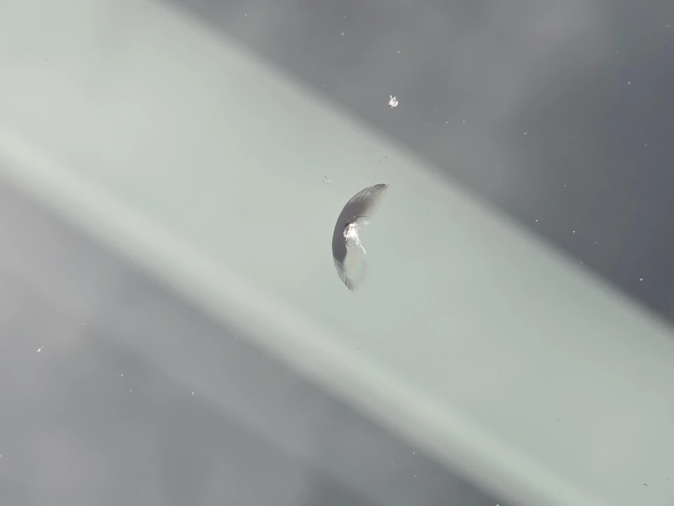 2020 Tesla Model 3 Performance - Image 15 of 31