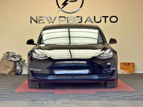 2020 Tesla Model 3 Standard Range