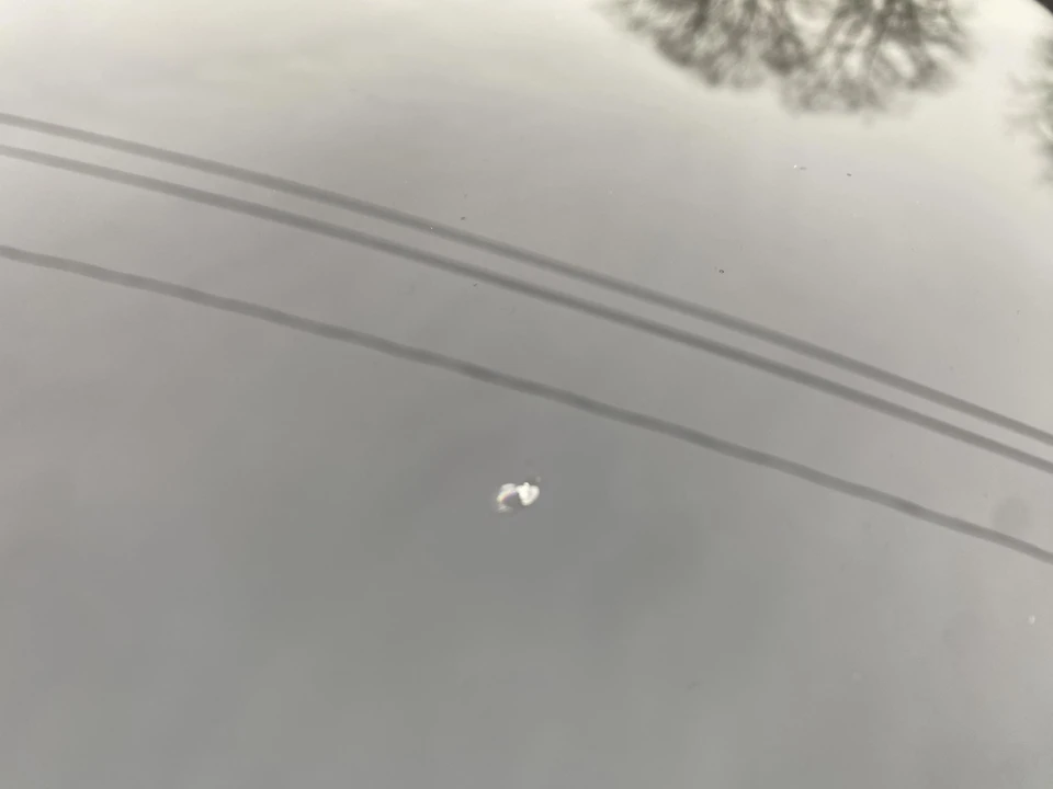 2020 Tesla Model S - Image 20 of 31