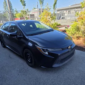 2020 Toyota Corolla LE Sedan 4D