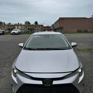 2020 Toyota Corolla LE Sedan 4D