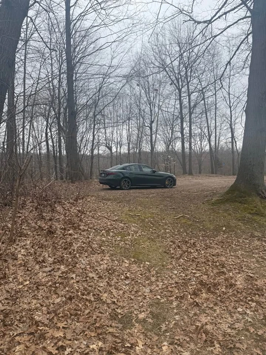 2021 Alfa Romeo Giulia - Image 2 of 7