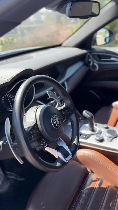 2021 Alfa Romeo Stelvio - Image 11 of 11