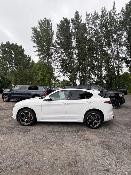 2021 Alfa Romeo Stelvio - Image 8 of 18