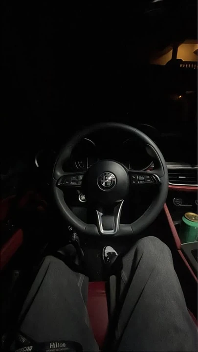 2021 Alfa Romeo Stelvio - Image 14 of 15