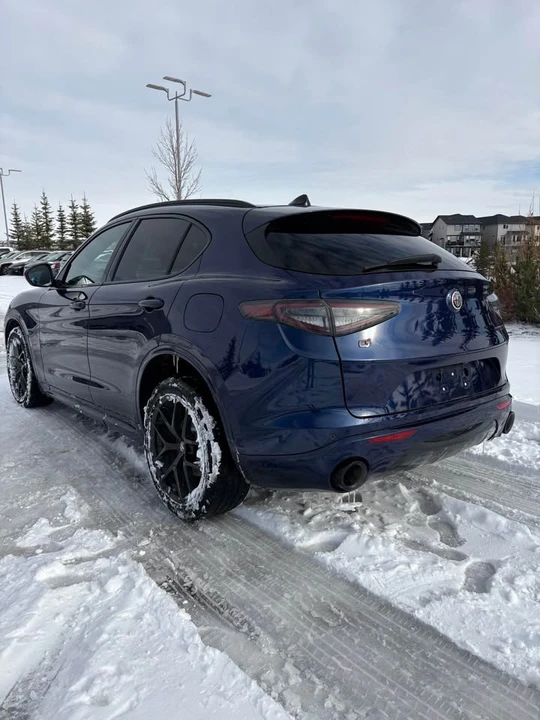 2021 Alfa Romeo Stelvio - Image 11 of 14